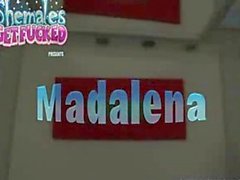 Madalena - the nasty shemale